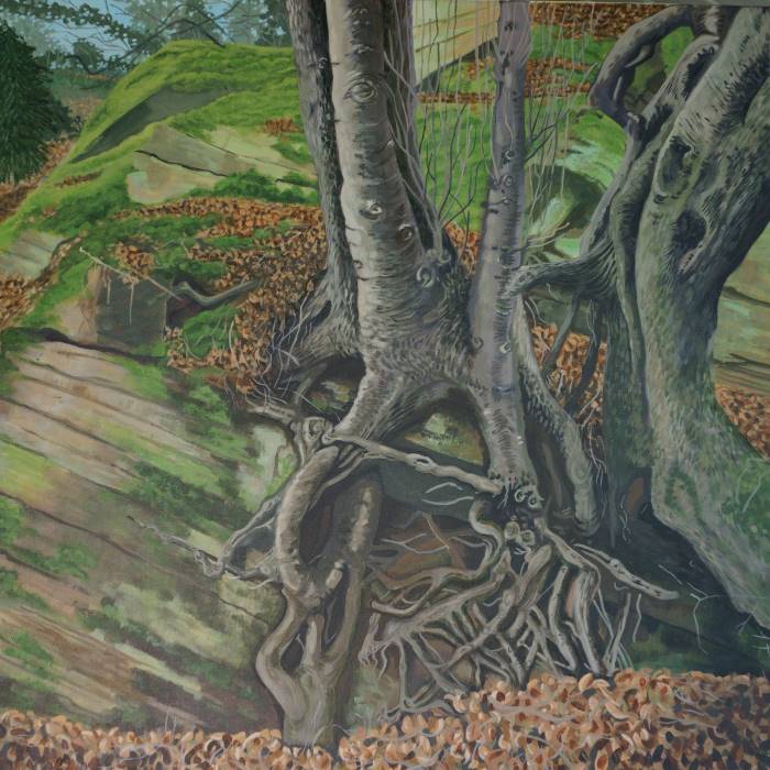 tree growing from rock